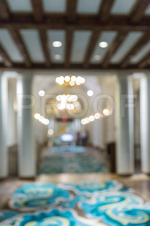 20150730_Vinoy_Hotel_ST_Petersburg_FL_20150730_Vinoy_Hotel_St_Petersburg_9C7C9050