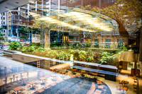 20150912_Toronto_075A9290
