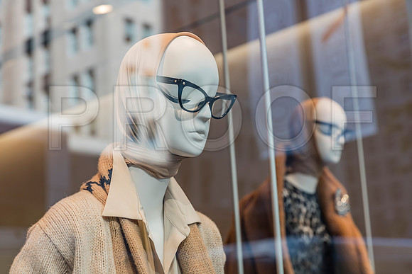 20150916_Chicago_Windows_075A0843