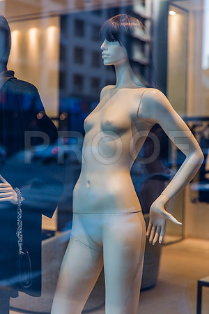 20150916_Chicago_Windows_075A0862