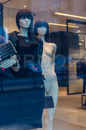 20150916_Chicago_Windows_075A0871