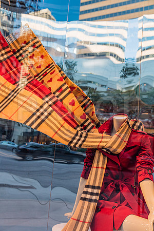 20150916_Chicago_Windows_075A1029