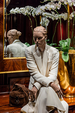 20150916_Chicago_Windows_075A0810