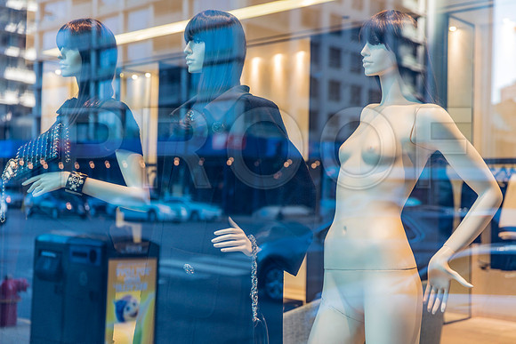 20150916_Chicago_Windows_075A0865