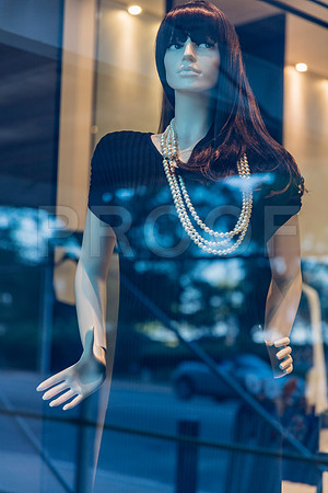 20150916_Chicago_Windows_075A0870