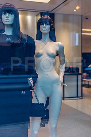 20150916_Chicago_Windows_075A0874