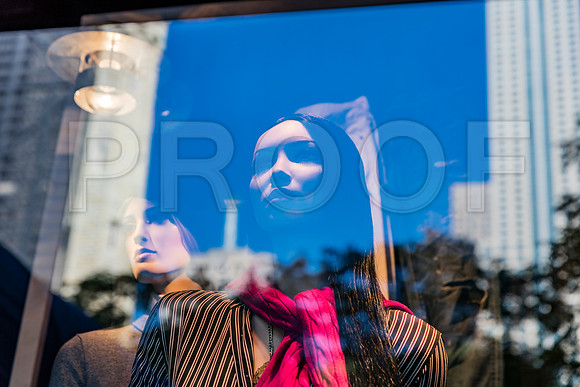 20150916_Chicago_Windows_075A0805