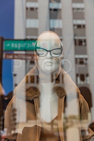 20150916_Chicago_Windows_075A0840