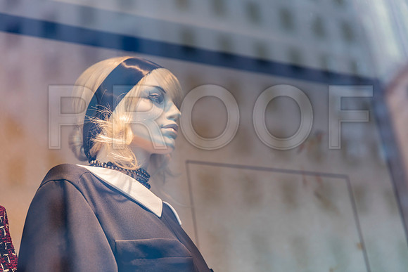 20150916_Chicago_Windows_075A0856