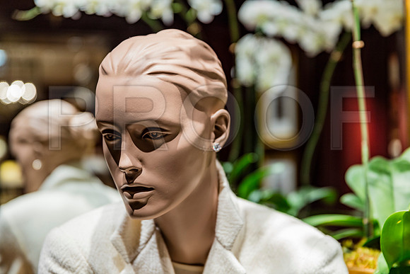 20150916_Chicago_Windows_075A0819