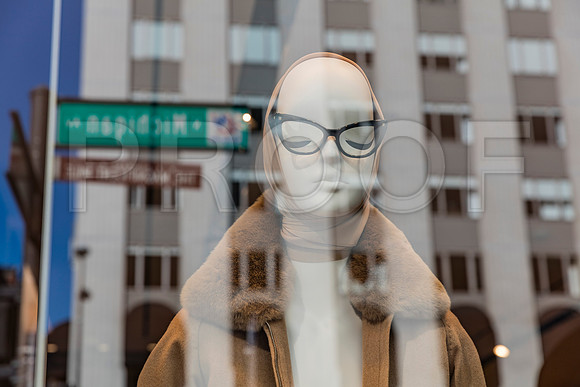 20150916_Chicago_Windows_075A0841