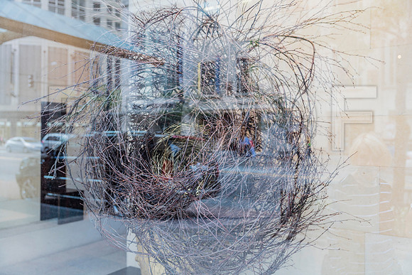 20150917_Chicago_Windows_075A2299