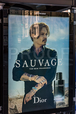 20150916_Chicago_Windows_075A0833