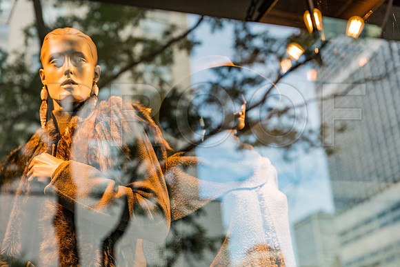 20150917_Chicago_Windows_075A2307