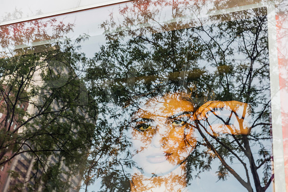 20150917_Chicago_Windows_075A2308