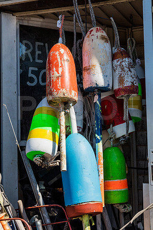 20150905_Woolwich_075A7825