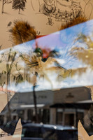 20150921_West_Palm_Beach_075A3279