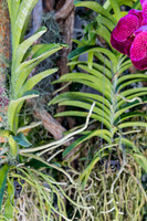 20150921_West_Palm_Beach_075A3270
