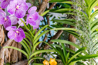 20150921_West_Palm_Beach_075A3268
