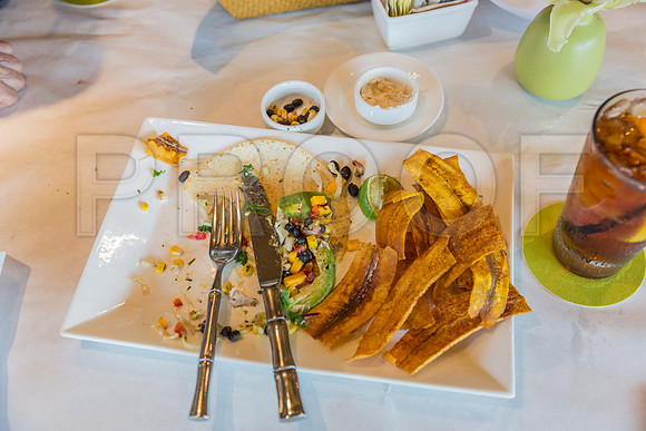 20150801_Tomy_Bahama_Lunch_Sarasota_FL_9C7C0843