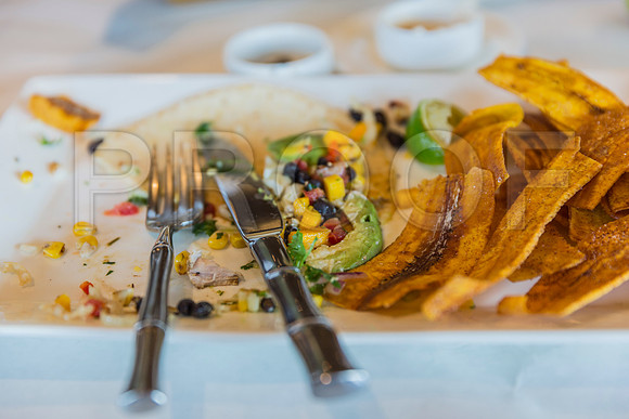 20150801_Tomy_Bahama_Lunch_Sarasota_FL_9C7C0846
