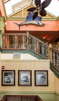 20150801_Tomy_Bahama_Lunch_Sarasota_FL_9C7C0863