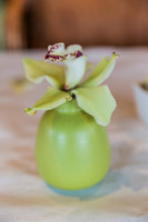 20150801_Tomy_Bahama_Lunch_Sarasota_FL_9C7C0854