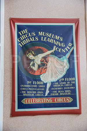 20150801_Ringling_Museum_Sarasota_FL_9C7C0573