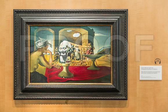 20150731_Dali_Museum_St_Petersburg_9C7C9791