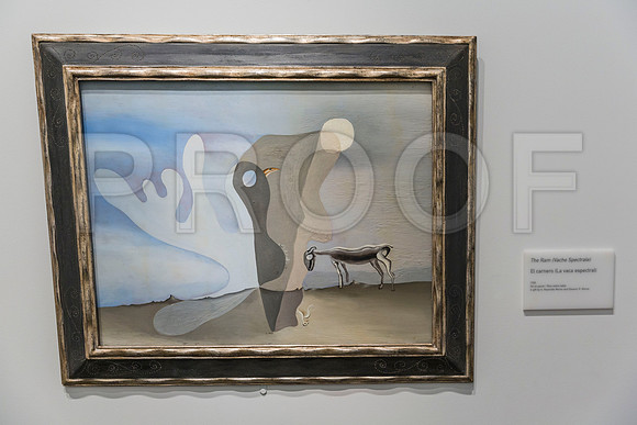 20150731_Dali_Museum_St_Petersburg_9C7C9744