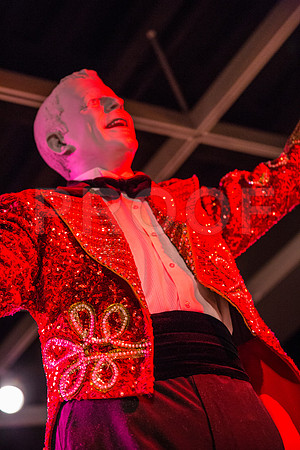 20150801_Ringling_Museum_Sarasota_FL_9C7C0620
