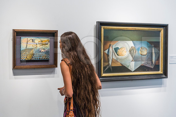 20150731_Dali_Museum_St_Petersburg_9C7C9811