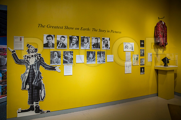 20150801_Ringling_Museum_Sarasota_FL_9C7C0691