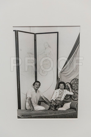 20150731_Dali_Museum_St_Petersburg_9C7C9766