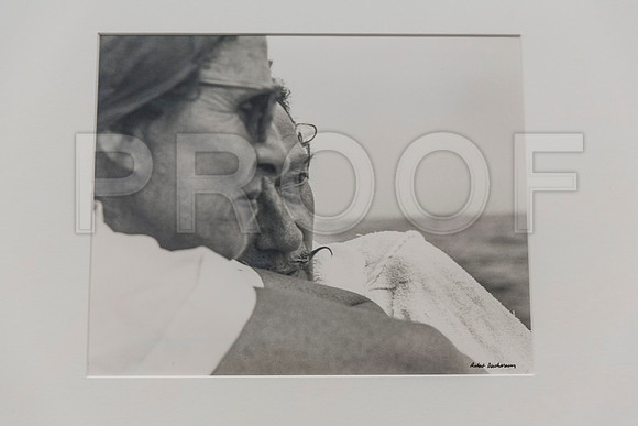 20150731_Dali_Museum_St_Petersburg_9C7C9769