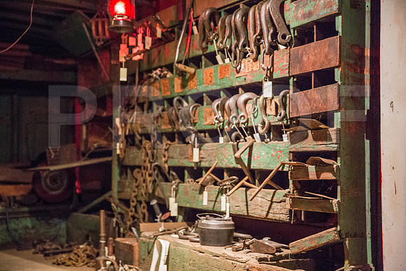 20150801_Ringling_Museum_Sarasota_FL_9C7C0714