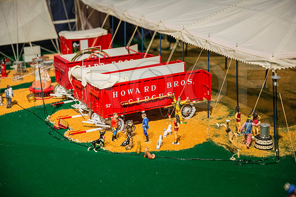 20150801_Ringling_Museum_Sarasota_FL_9C7C0664