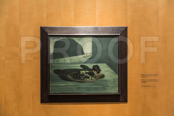 20150731_Dali_Museum_St_Petersburg_9C7C9778