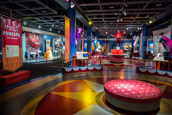 20150801_Ringling_Museum_Sarasota_FL_9C7C0601