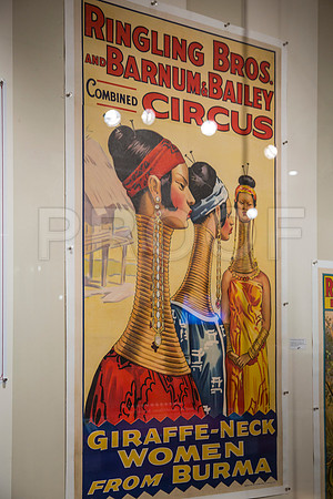 20150801_Ringling_Museum_Sarasota_FL_9C7C0583