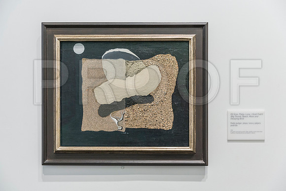 20150731_Dali_Museum_St_Petersburg_9C7C9743
