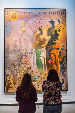 20150731_Dali_Museum_St_Petersburg_9C7C9815
