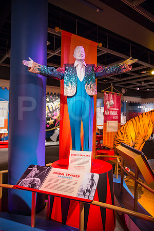 20150801_Ringling_Museum_Sarasota_FL_9C7C0617