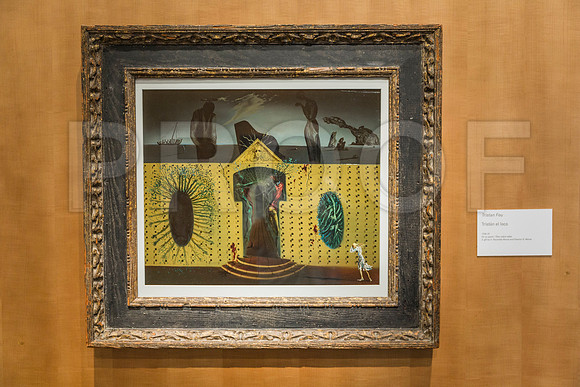 20150731_Dali_Museum_St_Petersburg_9C7C9777