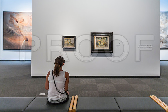 20150731_Dali_Museum_St_Petersburg_9C7C9809