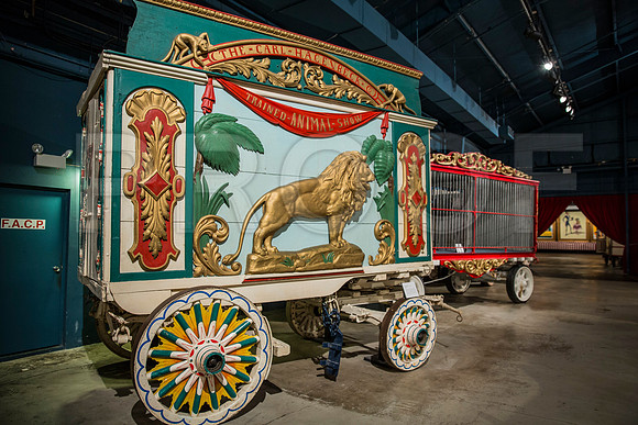 20150801_Ringling_Museum_Sarasota_FL_9C7C0695
