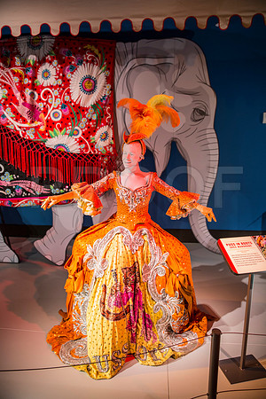 20150801_Ringling_Museum_Sarasota_FL_9C7C0606