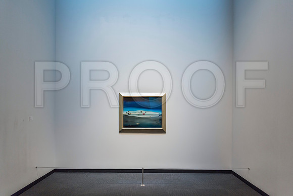 20150731_Dali_Museum_St_Petersburg_9C7C9738