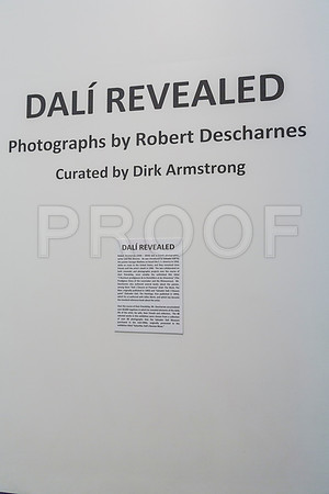 20150731_Dali_Museum_St_Petersburg_9C7C9765