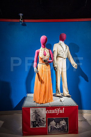 20150801_Ringling_Museum_Sarasota_FL_9C7C0724